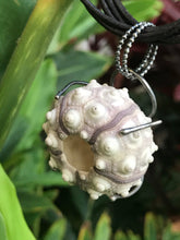 Sea Urchin Pendant