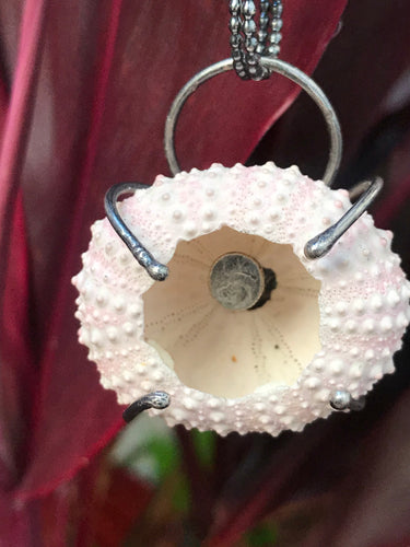 Sea Urchin Pendant